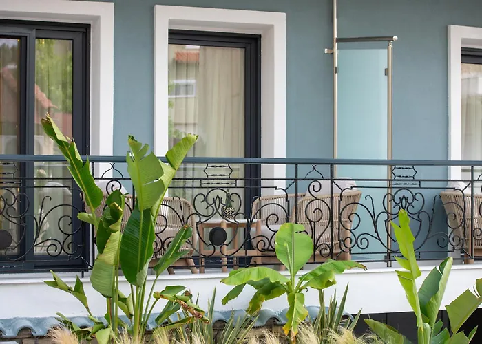 Pela Veranda Exquisite Suites